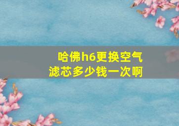 哈佛h6更换空气滤芯多少钱一次啊