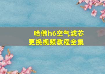 哈佛h6空气滤芯更换视频教程全集