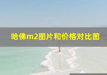 哈佛m2图片和价格对比图