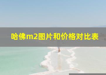 哈佛m2图片和价格对比表