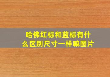 哈佛红标和蓝标有什么区别尺寸一样嘛图片