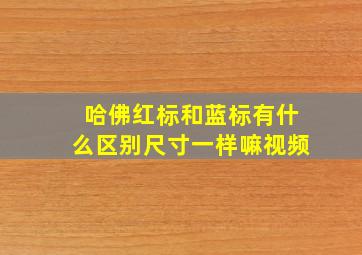 哈佛红标和蓝标有什么区别尺寸一样嘛视频