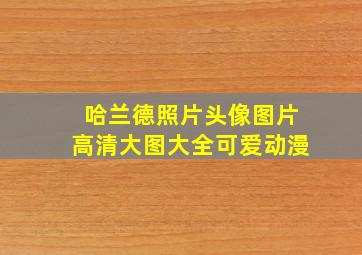 哈兰德照片头像图片高清大图大全可爱动漫