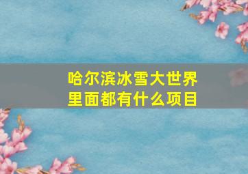 哈尔滨冰雪大世界里面都有什么项目