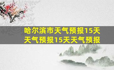 哈尔滨市天气预报15天天气预报15天天气预报