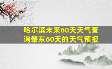 哈尔滨未来60天天气查询肇东60天的天气预报