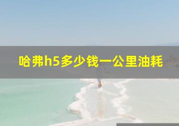 哈弗h5多少钱一公里油耗