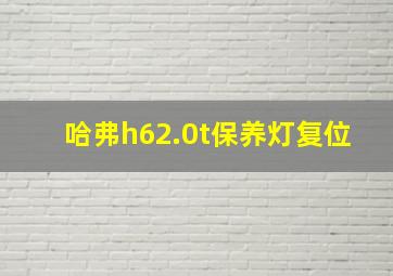 哈弗h62.0t保养灯复位