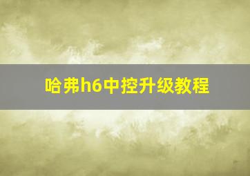 哈弗h6中控升级教程