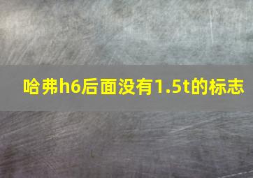 哈弗h6后面没有1.5t的标志