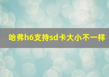 哈弗h6支持sd卡大小不一样