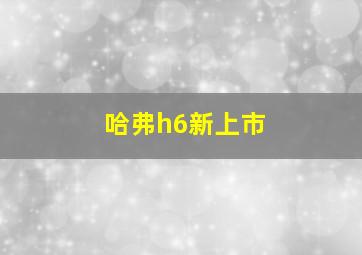 哈弗h6新上市