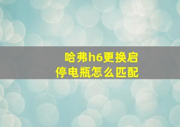 哈弗h6更换启停电瓶怎么匹配