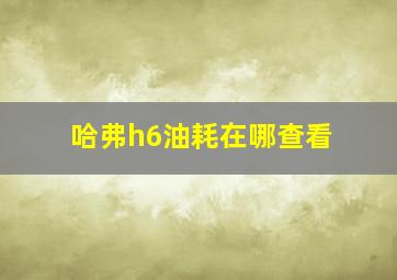 哈弗h6油耗在哪查看