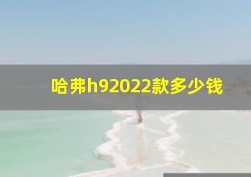 哈弗h92022款多少钱