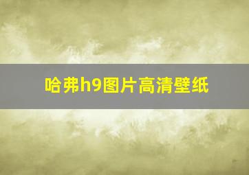 哈弗h9图片高清壁纸