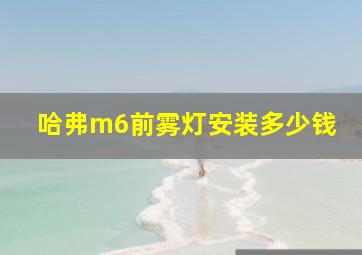 哈弗m6前雾灯安装多少钱