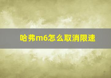 哈弗m6怎么取消限速