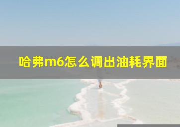 哈弗m6怎么调出油耗界面