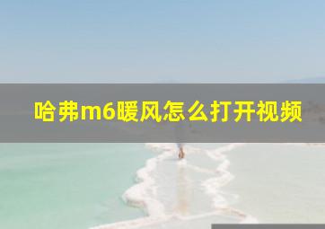 哈弗m6暖风怎么打开视频