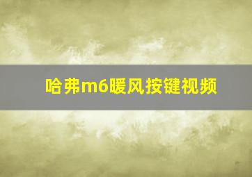 哈弗m6暖风按键视频