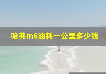 哈弗m6油耗一公里多少钱