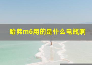 哈弗m6用的是什么电瓶啊