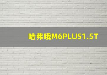 哈弗哦M6PLUS1.5T