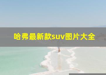 哈弗最新款suv图片大全