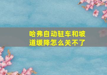 哈弗自动驻车和坡道缓降怎么关不了