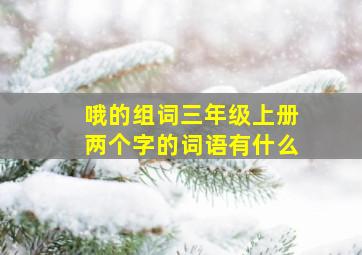 哦的组词三年级上册两个字的词语有什么