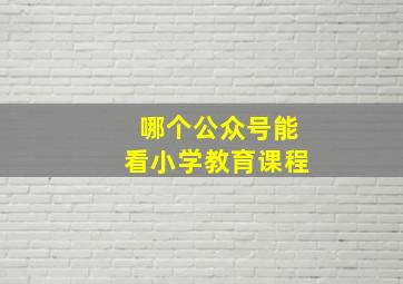 哪个公众号能看小学教育课程