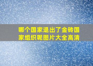 哪个国家退出了金砖国家组织呢图片大全高清