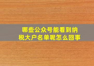 哪些公众号能看到纳税大户名单呢怎么回事