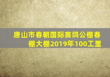 唐山市春朝国际赛鸽公棚春棚大棚2019年100工里