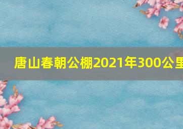 唐山春朝公棚2021年300公里