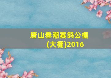 唐山春潮赛鸽公棚(大棚)2016