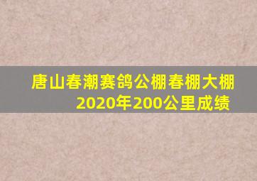 唐山春潮赛鸽公棚春棚大棚2020年200公里成绩