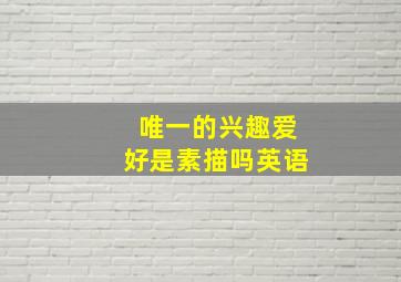 唯一的兴趣爱好是素描吗英语