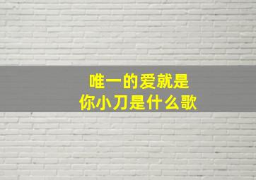 唯一的爱就是你小刀是什么歌