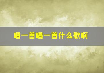 唱一首唱一首什么歌啊