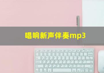 唱响新声伴奏mp3