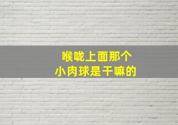 喉咙上面那个小肉球是干嘛的