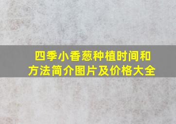 四季小香葱种植时间和方法简介图片及价格大全