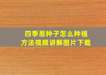 四季葱种子怎么种植方法视频讲解图片下载