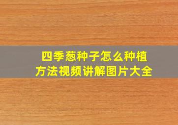 四季葱种子怎么种植方法视频讲解图片大全