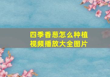 四季香葱怎么种植视频播放大全图片