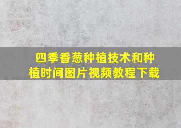 四季香葱种植技术和种植时间图片视频教程下载