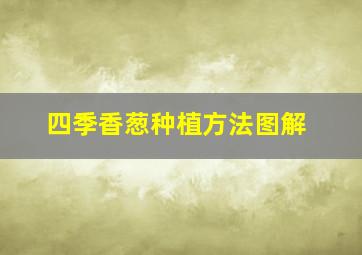 四季香葱种植方法图解