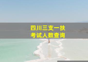 四川三支一扶考试人数查询